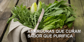 O alimento que o corpo reconhece como cura