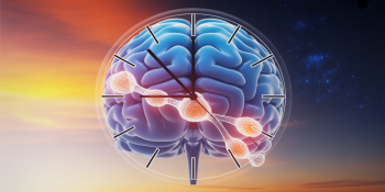 A Ciência Comprova: Rotina é Remédio Contra a Demência